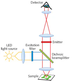 FIGURE 1. Fluorescence microscopy systems typically include an excitation filter, an emission filter, and a dichroic beamsplitter. FIGURE 1. Fluorescence microscopy systems typically include an excitation filter, an emission filter, and a dichroic beamsplitter.