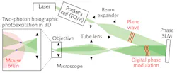 FIGURE 3. A two-photon holographic patterning arm, with a spatial light modulator, creates arbitrary 3D photoexcitation in live mouse brain. FIGURE 3. A two-photon holographic patterning arm, with a spatial light modulator, creates arbitrary 3D photoexcitation in live mouse brain.