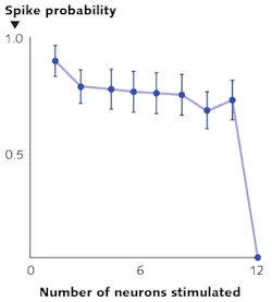 FIGURE 5. By dividing the peak power from a single ytterbium laser into several holograms, multiple neurons can be simultaneously excited. FIGURE 5. By dividing the peak power from a single ytterbium laser into several holograms, multiple neurons can be simultaneously excited.