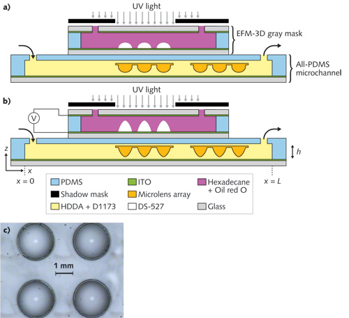 A schematic illustrates a continuous, high-throughput fabrication process for microlenses and microlens arrays in microchannels (a) before and (b) after applying voltages to the electrostatic-force-modulated (EFM)-3D gray mask. The microlenses and arrays can be dynamically adjusted during the fabrication process (c).