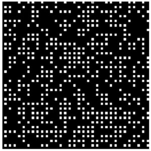 FIGURE 1. A pixel pattern on a DMD forms a modified scrambled-block Hadamard ensemble; black is 'off' and white is 'on.'