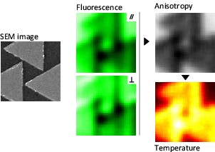 FIGURE 1. A temperature-mapping procedure is demonstrated on a 2 x 2 &micro;m2 gold nanostructure (left, SEM image) heated under IR illumination. Two detectors adapted on a confocal microscope map the two polarization components (center) of the fluorescence emitted from the molecules surrounding the gold structure. From these two images, the anisotropy and the temperature variations throughout the medium of interest are rendered in real time (right).