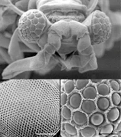 Th 0100news04 1 Th 0100news04 1