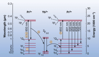 FIGURE 1. Energy diagram of praseodymium ytterbium in ZBLAN fiber shows transitions during the pumping cycle (steps 1-5) and possible laser lines.