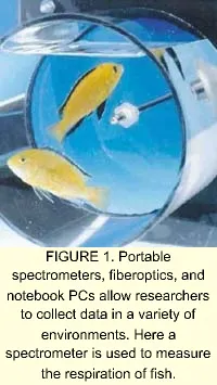 Th 0201feat1 1 Th 0201feat1 1