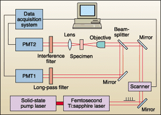 Experimental setup for TPF and SHG imaging can operate simultaneously in transmission and reflection modes. Applications that may benefit include the imaging of biological specimens such as DNA and chromosomes.