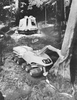 Th 0503lfwtntop Th 0503lfwtntop