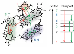 Th 0506lfne11 Th 0506lfne11