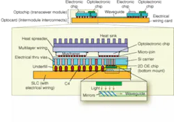 Th 0507lf06f2 Th 0507lf06f2