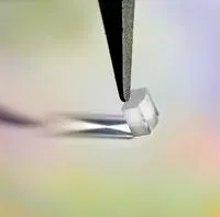 Th 0507lfwkaleido Th 0507lfwkaleido