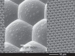 FIGURE 1. A microlenticular array for display applications is fabricated from polymer by excimer-laser synchronized image scanning. This array will be used to create a master, from which molds will be made that will allow large-volume manufacture of the arrays. For comparison, the compound eye of a fly is shown (inset). FIGURE 1. A microlenticular array for display applications is fabricated from polymer by excimer-laser synchronized image scanning. This array will be used to create a master, from which molds will be made that will allow large-volume manufacture of the arrays. For comparison, the compound eye of a fly is shown (inset).