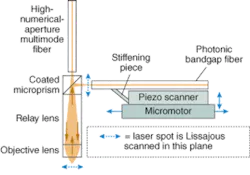 The imaging head of a two-photon fluorescence microendoscope developed at Stanford University comprises a GRIN probe, a micromotor, and a flexible photonic-bandgap fiber. The imaging head of a two-photon fluorescence microendoscope developed at Stanford University comprises a GRIN probe, a micromotor, and a flexible photonic-bandgap fiber.
