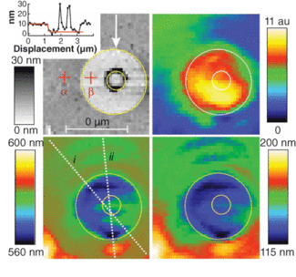An image of a circular opening in a chromium film on a glass slide is recorded as a shear-force topography image (upper left; inset shows elevated annulus in the central region caused by the chromium sample fabrication process) and as the total intensity integrated over the wavelength range 450 to 750 nm for each pixel (upper right). Mathematical analysis of the central wavelength (lower left) and FWHM of the plasmon resonance from the gold nanoparticle in the presence of the sample (lower right) clearly show the circular openings (circles are traced as a guide to the eye).
