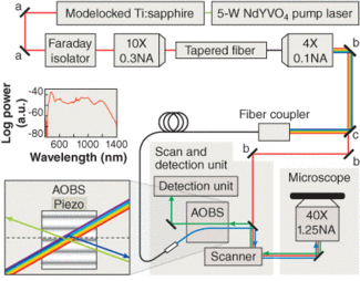 FIGURE 1. A confocal laser-scanning microscope is equipped with a supercontinuum white-light source for fluorescence excitation. Light from a 200-fs modelocked Ti:sapphire laser at a 76-MHz pulse rate with a center wavelength of 803 nm is coupled into a tapered fiber where the continuum is generated. Spectrally split at beamsplitter C into its near-IR (1300-700 nm) and visible (700-430 nm) parts, the radiation is either fed directly (near-IR) or acousto-optically wavelength-selected (visible spectrum; inset) to the scanning unit of the microscope. The fluorescence passes the AOBS undeflected.