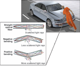 FIGURE 1. Sensors using plastic optical fiber embedded within the framework of an automobile can be used to provide pedestrian protection. The transmission signal changes when a surface-treated zone on the fiber is bent. Analysis of the signal from several parallel fiber strands allows the system to determine the nature of the object impacting the vehicle. The sensor can distinguish between a human and an inanimate object, triggering the hood to lift and softening the impact if a human is struck.