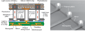 Polymer light pipes (seen here in a schematic and a scanning-electron micrograph) could enable high-speed, high-bandwidth, low-loss communications between chip and board to meet future demands of gigascale integration in semiconductor manufacturing.