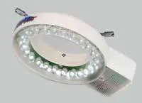 Th 0607lfwmicrolite Th 0607lfwmicrolite