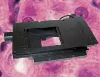 Th 0607lfwpriorsci Th 0607lfwpriorsci