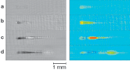 Femtosecond pulse propagation in air, water, and carbon disulfide (CS2) can be captured and compared using a holographic technique with high spatial and temporal resolution. With water as the medium, holographic amplitude (left) and phase (right) information clearly show the pulse propagation with relative time delays of 0.0 ps (a), 0.7 ps (b), 1.3 ps (c), and 2.3 ps (d). The red color in the phase images corresponds to positive index changes, while the dark blue corresponds to negative index changes. Each pulse image is 4 mm (horizontal) by 1 mm (vertical).