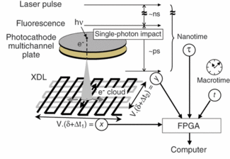 FIGURE 1. The operation of the high-throughput three-dimensional detector (H33D) begins with a pulsed laser to excite the fluorescence of a sample. Fluorescence photons are collected by the imaging optics and interact with the photocathode, creating one photoelectron per photon that is amplified by an opposed multichannel plate to generate an electron cloud (cone shape). The position of the cloud is determined by a position-sensitive cross-delay line anode, in which charges propagate through the lines and are collected at both ends. Timing electronics convert the differences in arrival time into position information and the four photon coordinates (laser pulse nanotime &tau;, position x, y, and macrotime T) are processed and stored by a computer. In the setup, the fixed time delay is &delta;, signal-propagation velocity v > 1 mm/ns, and the sensitive area has a diameter of 1 inch.