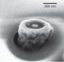 Th 0702lfwnbf1 Th 0702lfwnbf1