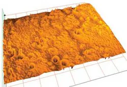 Th 0708lfw08f2 Th 0708lfw08f2