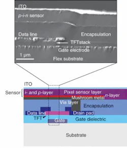 The a-Si:H p-i-n structures coated with an unpassivated indium tin oxide layer were prepared by plasma-enhanced chemical-vapor deposition at process temperatures from 130ºC to 210ºC. The sensor stack is shown in cross section by scanning-electron microscopy (top) and in schematic (bottom). The a-Si:H p-i-n structures coated with an unpassivated indium tin oxide layer were prepared by plasma-enhanced chemical-vapor deposition at process temperatures from 130ºC to 210ºC. The sensor stack is shown in cross section by scanning-electron microscopy (top) and in schematic (bottom).