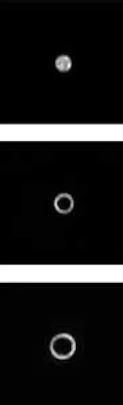 Th 0711lfwnwsbks1 Th 0711lfwnwsbks1