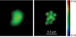 An intensity-merged fluorescence lifetime image of 200 nm fluorescent beads is shown in confocal mode (left) and with sub-diffraction-limit resolution using the STED (right) mode.