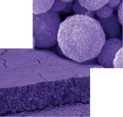 Th 0806lfwnb3 Th 0806lfwnb3