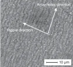 Th 0809lfwnbf2 Th 0809lfwnbf2