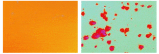 FIGURE 1. Nomarski-microscope images show the onset (left) and progression (right) of laser-induced damage within voids and pinholes in a conventional 193-nm mirror coating. These mirrors exhibit moderate and severe damage from laser exposure. In both instances, laser-induced damage started within microscopic voids in the coating. The severe damage at right occurred after 240,000 pulses at 225 mJ/cm2 at a 100-Hz repetition rate.