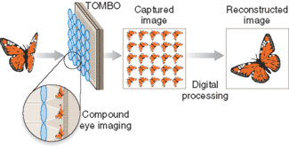 Light is focused through small (and therefore relatively thin) lenses onto subarrays of a pixelated detector; walls or baffles are used as separators to prevent crosstalk. The acquired subimages are then processed to produce a composite high-resolution image.