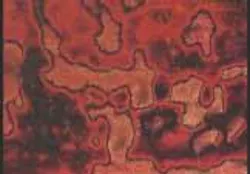 The nonlinearity of a methyl-red-doped liquid-crystal cell is highest when its glass surfaces are untreated: a grating with almost 25% diffraction efficiency has already been demonstrated. Unfortunately, treating the cells with a surfactant is the main mechanism for aligning the liquid-crystal molecules, allowing them to impart a uniform phase-change. Without this, as shown here, the orientation is random. The nonlinearity of a methyl-red-doped liquid-crystal cell is highest when its glass surfaces are untreated: a grating with almost 25% diffraction efficiency has already been demonstrated. Unfortunately, treating the cells with a surfactant is the main mechanism for aligning the liquid-crystal molecules, allowing them to impart a uniform phase-change. Without this, as shown here, the orientation is random.