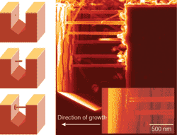 M. Saif Islam and colleagues at the Quantum Science Research group of Hewlett-Packard Laboratories (Palo Alto, CA) have developed a solution to the long-standing issue of interconnecting 1-D semiconductor nanowire devices with conventional integrated-circuit elements, using processes compatible with mass manufacturing. They fabricated two opposing vertical and electrically isolated semiconductor surfaces using optical lithography along with wet and dry etching. Then they grew lateral nanowire devices from one surface and epitaxially connected them to the other, forming mechanically robust bridges. The work was presented in the conference on nanosensing at Optics East 2004.