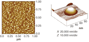 FIGURE 1. A quantum-dot IR detector allows absorption of normal-incidence light, a result of three-dimensional confinement in quantum dots. A group of researchers from Northwestern University (Evanston, IL) will present information on the first indium phosphide-based quantum-dot IR detector during the Quantum Sensing and Nanophotonic Devices II conference. An atomic-force microscope (AFM) scan can reveals the structures of a group of InAs (indium arsenide) quantum dots in a 1 &times; 1-&micro;m area grown in an InP (indium phosphide) substrate (left). The cylindrical structure of an individual quantum dot in the field is well defined (right).