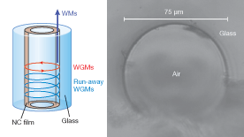 The first &ldquo;paint-on&rdquo; laser has been fabricated by creating a solid nanocrystal thin film from solution on the inner wall of a fused silica microcapillary tube (left). When externally pumped by an 800 nm pulsed laser, waveguiding modes (WMs) and whispering-gallery modes (WGMs) are supported along the capillary; however, only those WGMs that experience feedback produce a lasing action at 1530 to1560 nm, depending on film thickness along the capillary. A cross-section optical microscope image of the tube (right) barely reveals the 1 mm thick quantum-dot layer.