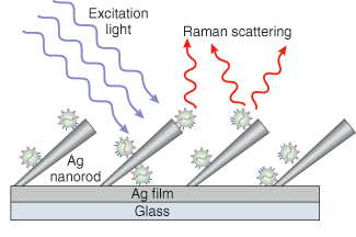 Researchers at the University of Georgia used silver-nanorod arrays and SERS to rapidly (30 to 50 s) detect human viruses in specimen volumes and differentiate between respiratory viruses, virus strains, and viruses containing gene deletions without manipulating the virus.