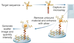 Nanosphere’s approach to direct detection of nucleic acid involves binding a gold nanosphere to the target sequence, and coating the nanoparticle with highly reflective silver that reflects LED light. The silver, which itself does not bind to the organics, serves as an evanescently illuminated marker. Nanosphere’s approach to direct detection of nucleic acid involves binding a gold nanosphere to the target sequence, and coating the nanoparticle with highly reflective silver that reflects LED light. The silver, which itself does not bind to the organics, serves as an evanescently illuminated marker.
