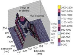 FIGURE 3. The fluorescence of OG 515 versus wavelength is plotted as a function of excitation wavelength. The sharp ridge to one edge is scattering caused by the geometry of the measurement setup. FIGURE 3. The fluorescence of OG 515 versus wavelength is plotted as a function of excitation wavelength. The sharp ridge to one edge is scattering caused by the geometry of the measurement setup.
