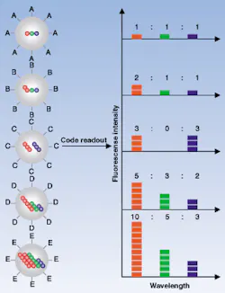 FIGURE 1. In the optical coding method, based on wavelength and intensity multiplexing, the largest spheres represent polymer microbeads, in which smaller colored spheres (quantum dots) are embedded according to predetermined intensity ratios. Molecular probes are attached to the bead surface for biological binding and recognition, such as DNA hybridization. The colored (blue, green, red) spheres illustrate fluorescence intensity levels only. An optical measurement is possible by measuring the fluorescence spectra of single beads. FIGURE 1. In the optical coding method, based on wavelength and intensity multiplexing, the largest spheres represent polymer microbeads, in which smaller colored spheres (quantum dots) are embedded according to predetermined intensity ratios. Molecular probes are attached to the bead surface for biological binding and recognition, such as DNA hybridization. The colored (blue, green, red) spheres illustrate fluorescence intensity levels only. An optical measurement is possible by measuring the fluorescence spectra of single beads.