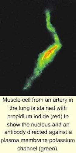 Th 9news 1 Th 9news 1