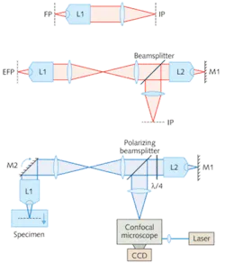 FIGURE 1. The standard architecture of most commercial microscope systems (top) consists of a high-numerical-aperture (NA) objective lens (L1), and a low-NA tube lens (top). The researchers’ design (center) adds a second high-NA objective lens, a mirror (M1), and a beamsplitter (BS). The fast, remote-focusing architecture is combined with a real-time Nipkow-disc confocal microscope in a system (bottom) that also includes an extra mirror (m2) near the pupil plane of Lens1. A laser provides illumination, and a polarizing beamsplitter and quarter-wave plate ( λ/4) direct illumination light through the system into the specimen and back through to the confocal microscope. FIGURE 1. The standard architecture of most commercial microscope systems (top) consists of a high-numerical-aperture (NA) objective lens (L1), and a low-NA tube lens (top). The researchers’ design (center) adds a second high-NA objective lens, a mirror (M1), and a beamsplitter (BS). The fast, remote-focusing architecture is combined with a real-time Nipkow-disc confocal microscope in a system (bottom) that also includes an extra mirror (m2) near the pupil plane of Lens1. A laser provides illumination, and a polarizing beamsplitter and quarter-wave plate ( λ/4) direct illumination light through the system into the specimen and back through to the confocal microscope.