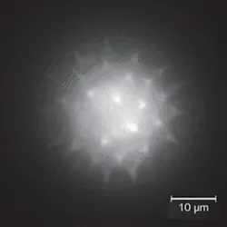 FIGURE 2. A single frame of an EDF movie shows a pollen grain. In the movie, the user varies the perspective of the grain in real time. FIGURE 2. A single frame of an EDF movie shows a pollen grain. In the movie, the user varies the perspective of the grain in real time.