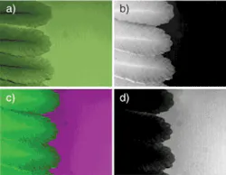 FIGURE 5. A color image of green leaves on a green plastic background (a); map of the spectral component of the leaves (b); map of the background material (c); and composite color image of the leaves and background material (d). FIGURE 5. A color image of green leaves on a green plastic background (a); map of the spectral component of the leaves (b); map of the background material (c); and composite color image of the leaves and background material (d).