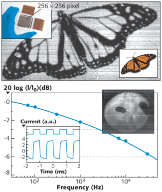 FIGURE 1. A shadow-cast image of a monarch butterfly (top; original in inset) illuminated at 1310 nm shows fine features, such as the limbs and the antennae. The imager (upper inset) has a resolution of 256 x 256 pixels with a pixel pitch of 154 &micro;m. Cut-off frequencies of the diodes are shown in the Bode diagram (bottom). The inset at bottom shows a snapshot taken from a movie of two woodlice (armadillidium vulgare) illuminated at a wavelength of 1310 nm) [2].