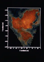 Th Lfw26274 43 Th Lfw26274 43