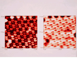 NSOM (near-field scanning optical microscope) image of 10-nm-high aluminum islands deposited on a glass substrate (left) has much greater resolution than image made with a traditional diffraction-limited optical microscope (right).
