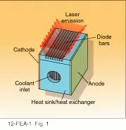 Th Lfw28431 29 Th Lfw28431 29