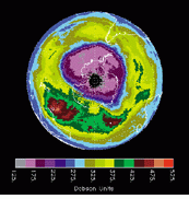 Image of Antarctica (top) indicates much higher concentration of ozone (measured in Dobson units) than that detected in other parts of the earth on the same day (bottom).